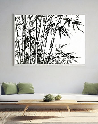 Plakat bambus, ArchiBotanica