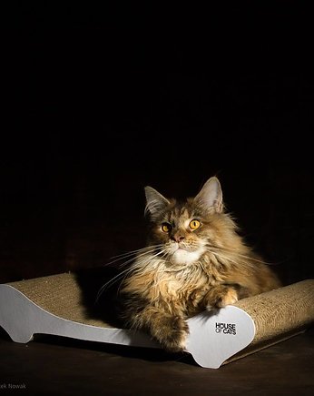Drapak dla kota legowisko "Comfy White", House of Cats