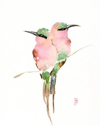 Oryginalna akwarela. Żołny afrykańskie, alquadro