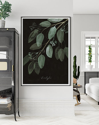 plakat botaniczny  Eukaliptus 50x70 cm, Anita Tomala