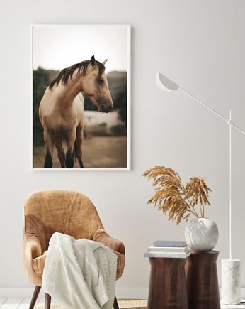 PLAKAT z koniem, koń plakat, boho plakat, black dot studio