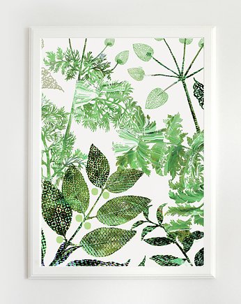 zielnik  A3, Anita Tomala