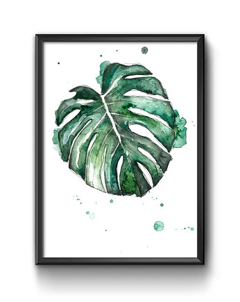 Monstera deliciosa 30x21, A4, JUST ILUST Justyna Małczak