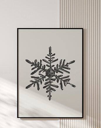 Plakat SNOWFLAKE, OSOBY - Prezent dla przyjaciółki