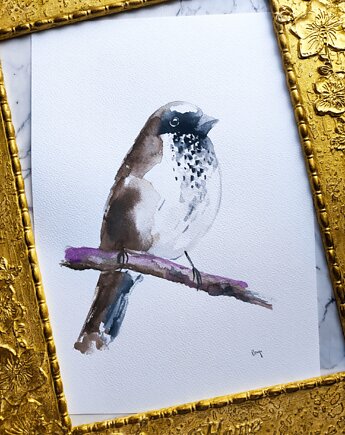 Akwarela wróbel, Wiktoria Borys Art
