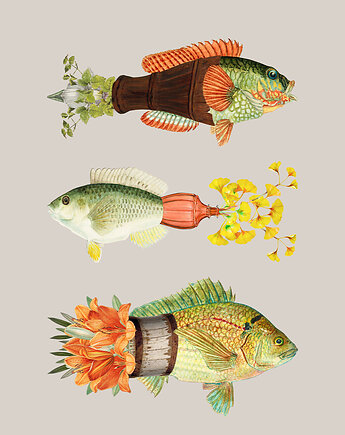 Plakat / Surrealistyczny Kolaż / Fish Out Of Water, balance