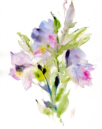 Oryginalna akwarela. Kwiaty, alquadro