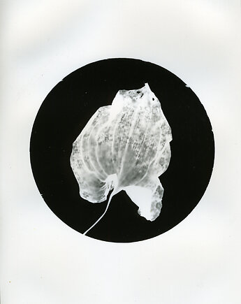 Wyczerpane dwa, PAPER AND LIGHT