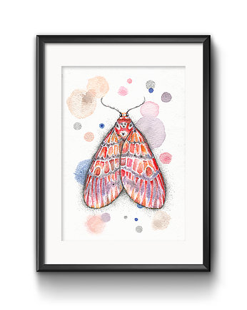 Ćma kolorowa, 21x30 cm, A4, JUST ILUST Justyna Małczak