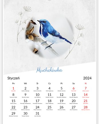 Kalendarz z ptakami 2024, Wiktoria Borys Art