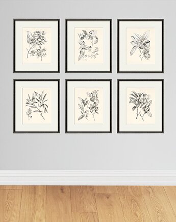Zestaw Grafik Botanicznych Vintage, Victorian wall art