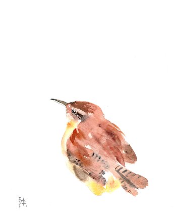 Oryginalna akwarela. Strzyżyk, alquadro