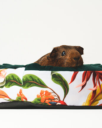 Legowisko oponka, The Big Pig_official