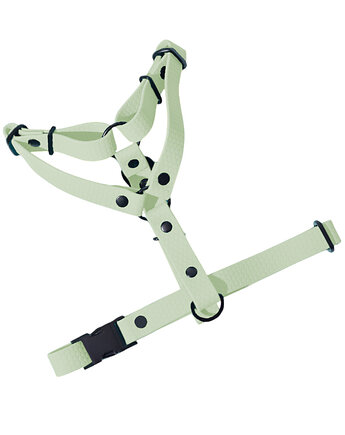 Szelki guard regulowane dla psa wodoodoporne PISTACJOWE taśma 2cm M, Kolorowe Łapki