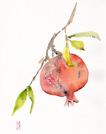 Oryginalna akwarela. Owoc granatu, alquadro
