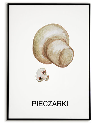 Plakat  GRAFIKA PIECZARKI warzywa ZIOŁA, Bajkowe Obrazki
