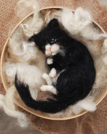 Kot w pudełku, BoboLobo Handicraft