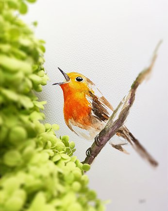 Akwarela rudzik, Wiktoria Borys Art
