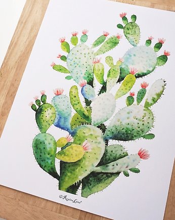 Kaktus, OKAZJE - Prezent na 40 urodziny