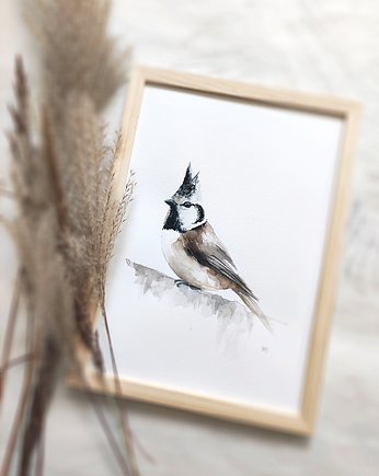 Akwarela sikorka czubatka, Wiktoria Borys Art