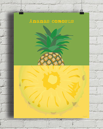 Ananas - plakat fine art 50x70 cm, minimalmill