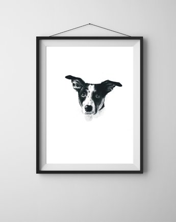 Portret psa Nr 4 - rysunek w formie plakatu A3, wydruk pigmentowy, Anka Bednarz