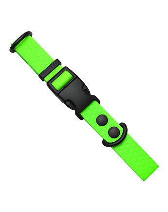 Obroża dla psa regulowana wodoodporna hexa NEON ZIELONA 40-55cm taśma 2cm M, Kolorowe Łapki