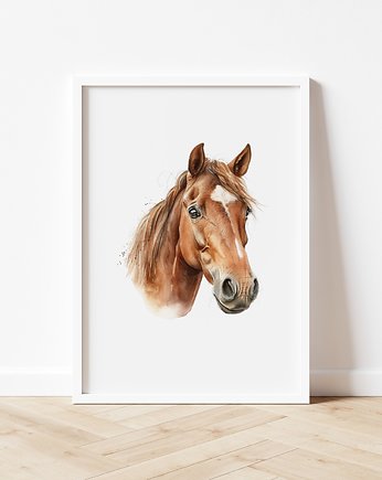 Plakat Portret Konia P198, TamTamTu