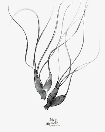 MEDUSA OPLĄTWA print { 70x50 cm }, Margo Hupert