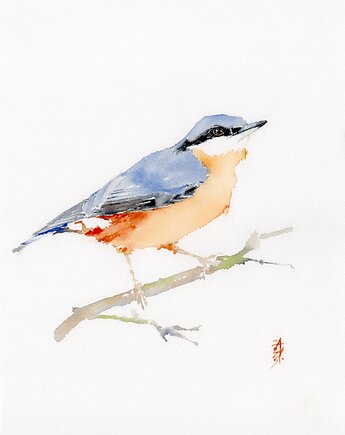 Oryginalna akwarela. Kowalik, alquadro