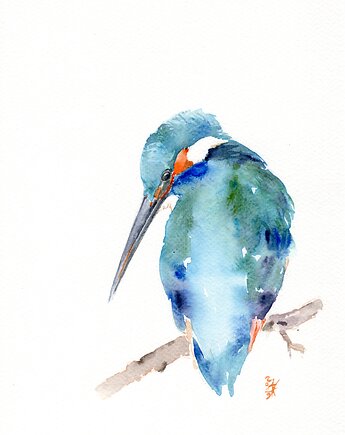 Oryginalna akwarela. Zimorodek, alquadro