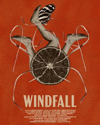 Plakat Windfall, OKAZJE - Prezent na 18 urodziny