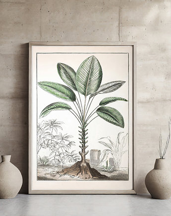 Plakat botaniczny, ArchiBotanica