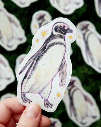 Pingwin magellański / naklejka winylowa, zazula