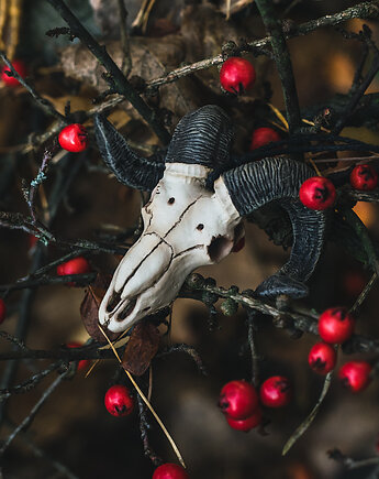 Wisior Czaszka Barana, Nest of Bones