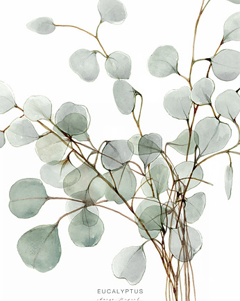 Plakat Eucalyptusprint40x50 cm, OKAZJE - Prezent na 60 urodziny
