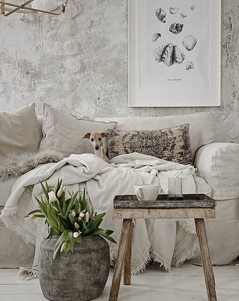 Plakat Muszle, Margo Hupert