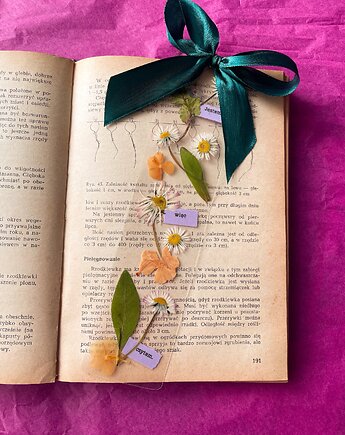 Zakładka do książki z suszonymi kwiatami, Suszony & Co.