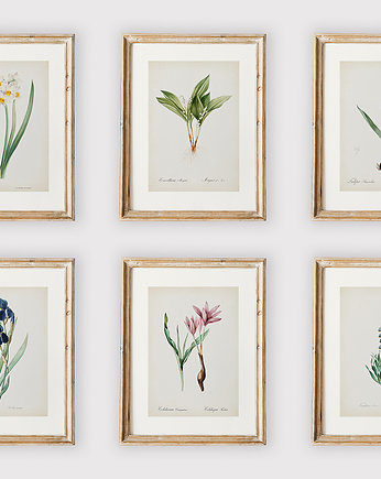 Zestaw 6 kwiatowych ilustracji, OKAZJE - Prezenty pod Choinkę