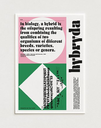 Hybryda Typo / Oryginalna grafika / poster print, Alina Rybacka