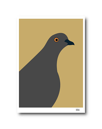 Plakat A4 Gołąb Loluś, Hultaj Design