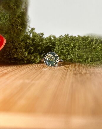 Blask Natury projektant