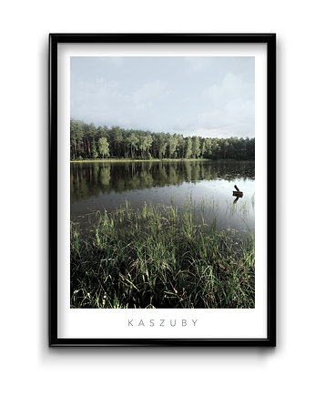 Plakat Kaszuby, Bury Lis