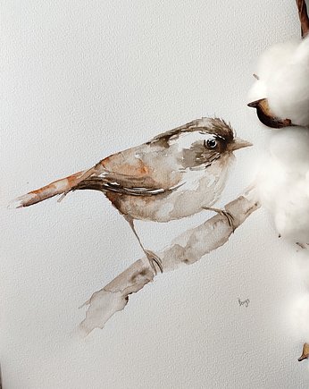 Akwarela cynamonek, Wiktoria Borys Art