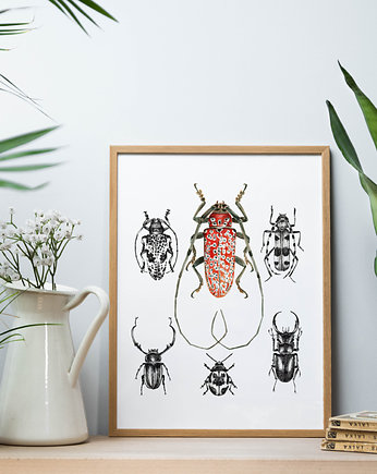 Plakat Owady, beata sketches