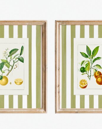 DWA PLAKATY galeria botaniczne owoce pasy, black dot studio