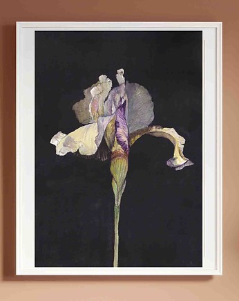 Plakat Irys Malowany Kwiat, My Moment