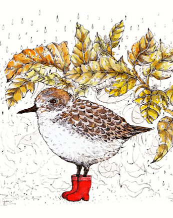 Ptaszek w butach- Biegus- Grafika, BOSKE