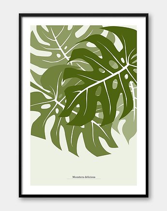 Plakat Monstera, Pracownia Och Art