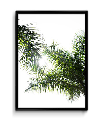 Plakat Liście palmy, OKAZJE - Prezenty pod Choinkę